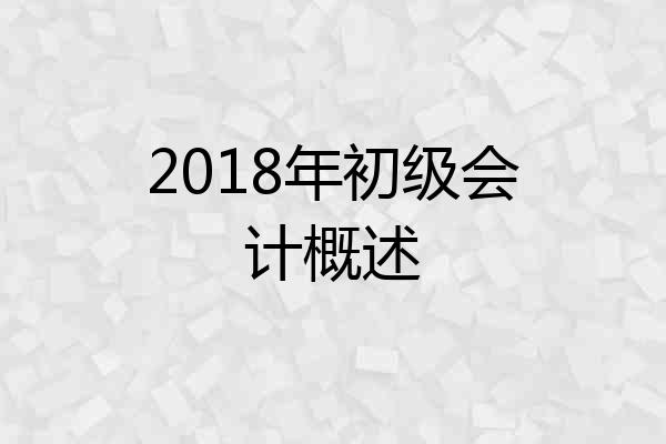 2018年初级会计概述