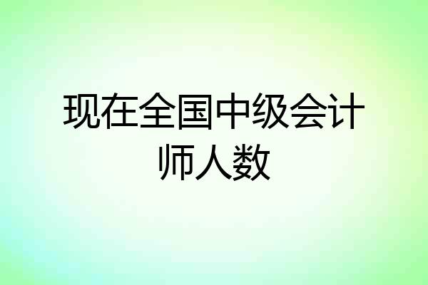 现在全国中级会计师人数
