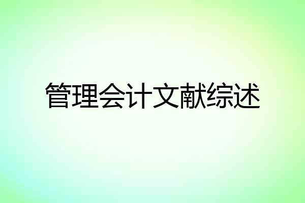 管理会计文献综述