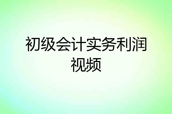 初级会计实务利润视频