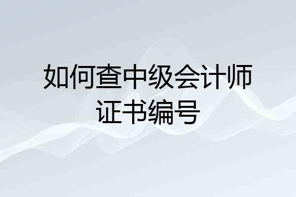 如何查中级会计师证书编号