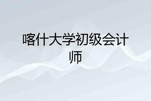 喀什大学初级会计师