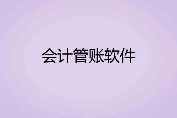 会计管账软件