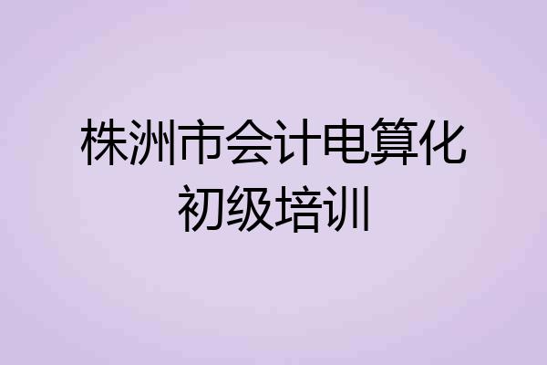 株洲市会计电算化初级培训