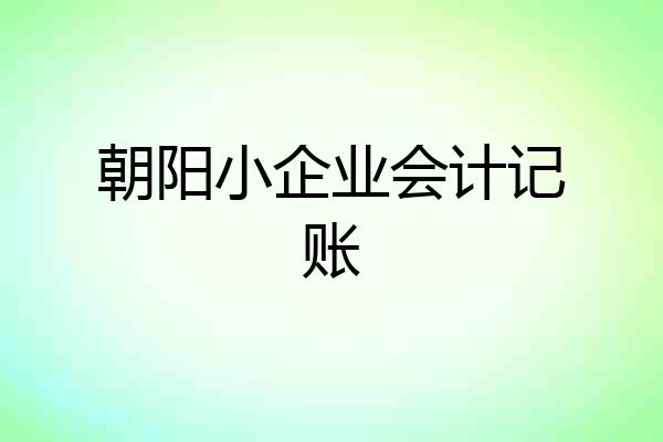 朝阳小企业会计记账