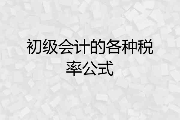 初级会计的各种税率公式