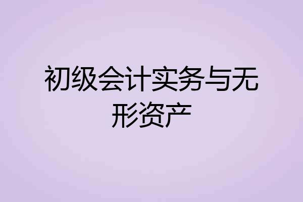 初级会计实务与无形资产