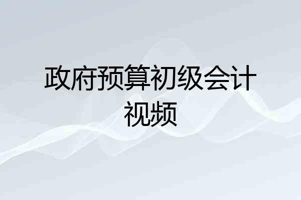 政府预算初级会计视频
