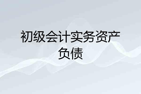 初级会计实务资产负债