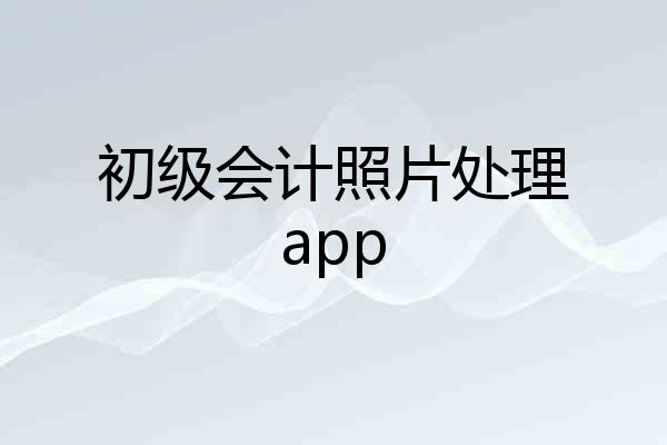 初级会计照片处理app