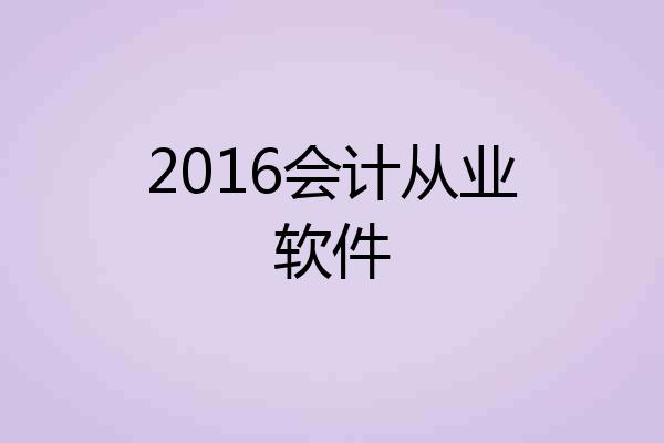 2016会计从业软件