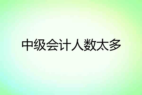 中级会计人数太多