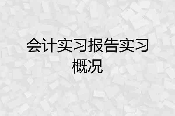 会计实习报告实习概况