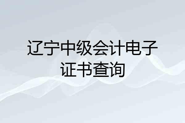 辽宁中级会计电子证书查询