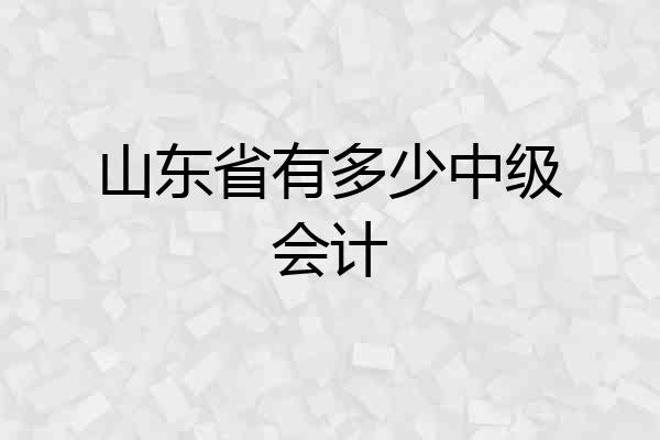 山东省有多少中级会计