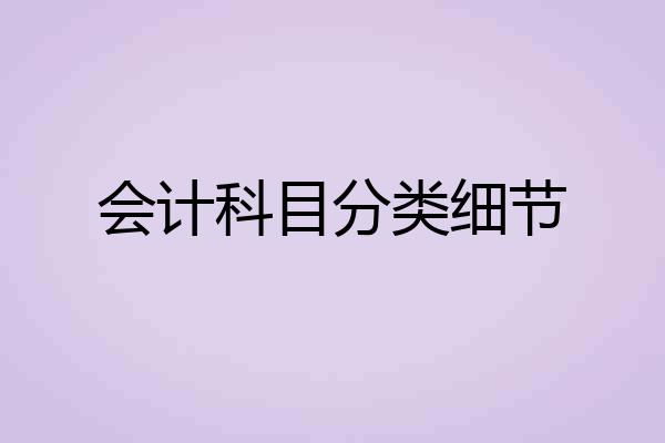 会计科目分类细节