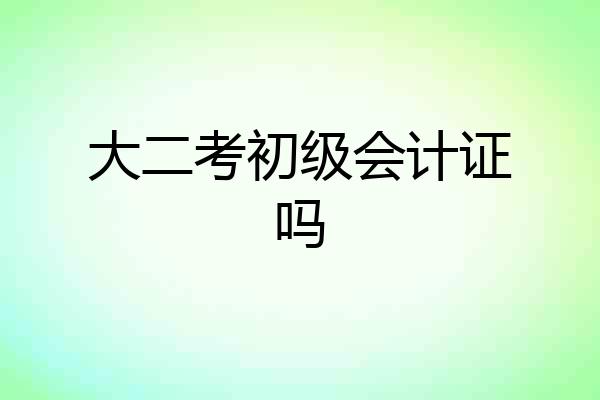 大二考初级会计证吗