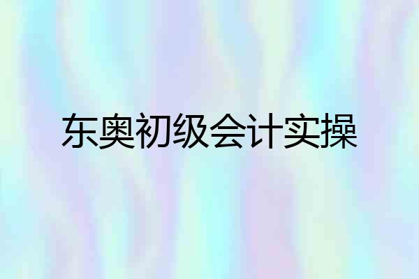 东奥初级会计实操