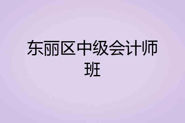 东丽区中级会计师班