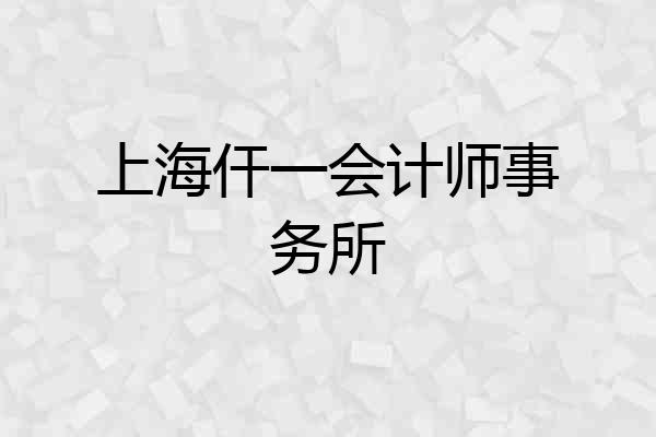 上海仠一会计师事务所