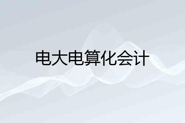 电大电算化会计