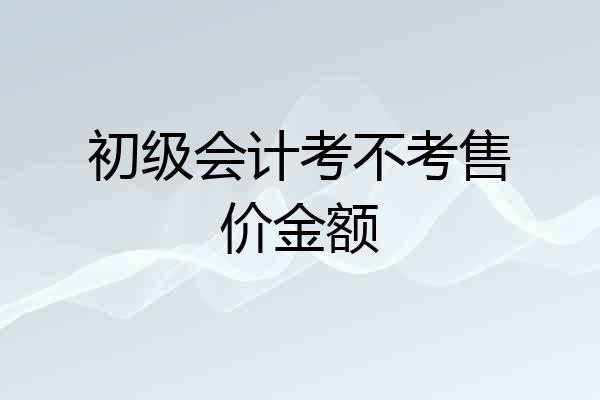 初级会计考不考售价金额