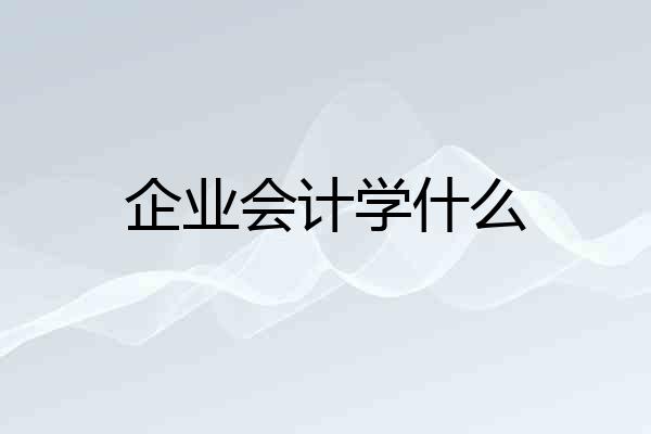 企业会计学什么