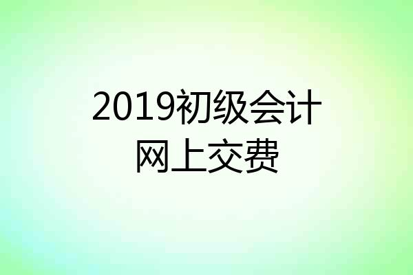 2019初级会计网上交费