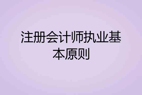 注册会计师执业基本原则