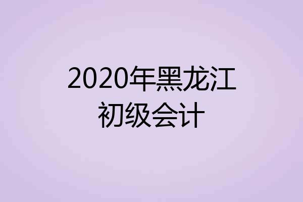 2020年黑龙江初级会计