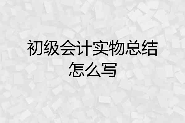 初级会计实物总结怎么写