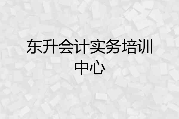 东升会计实务培训中心