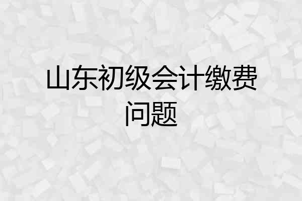 山东初级会计缴费问题