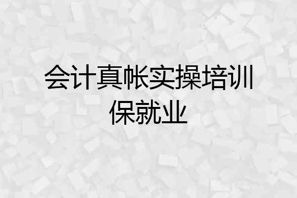 会计真帐实操培训保就业