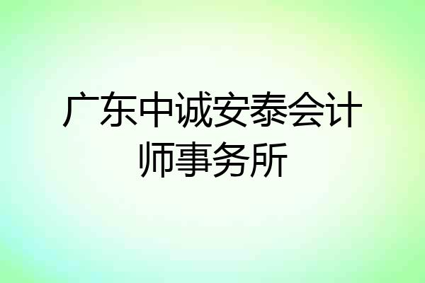 广东中诚安泰会计师事务所