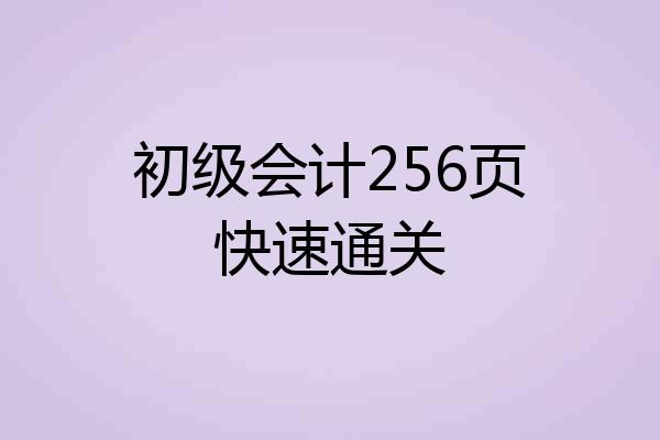 初级会计256页快速通关