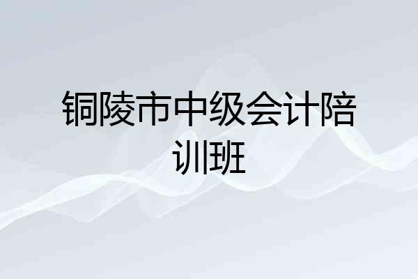 铜陵市中级会计陪训班