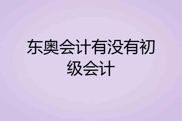 东奥会计有没有初级会计