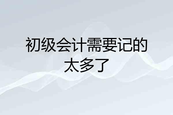 初级会计需要记的太多了