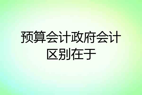 预算会计政府会计区别在于