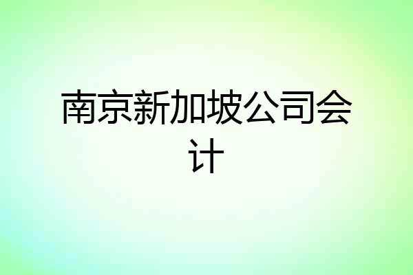 南京新加坡公司会计