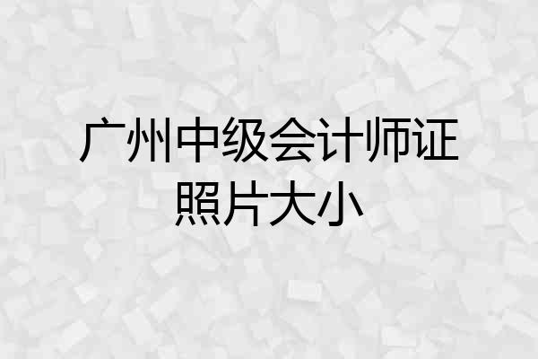 广州中级会计师证照片大小