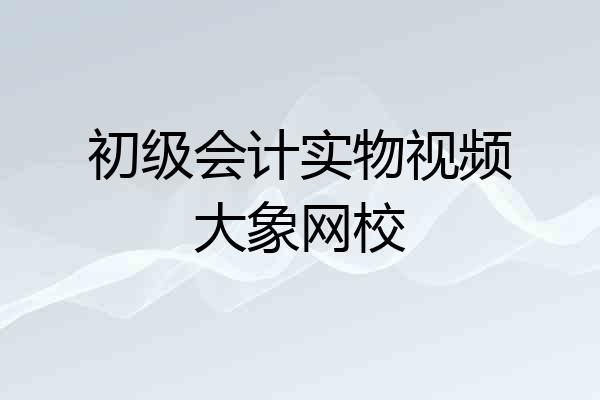 初级会计实物视频大象网校