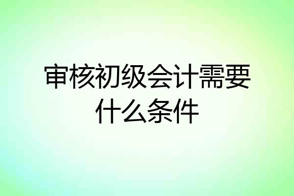 审核初级会计需要什么条件