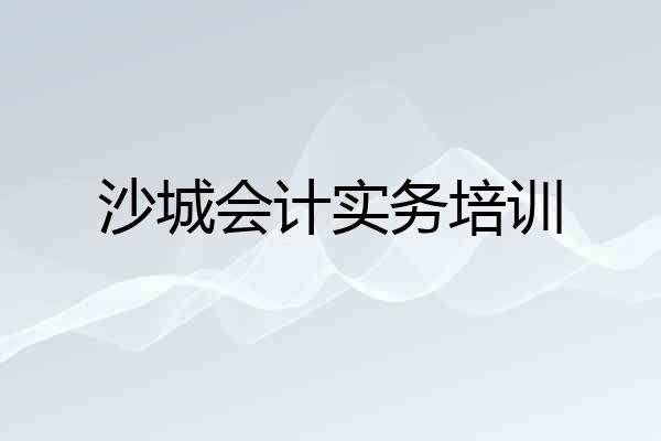 沙城会计实务培训