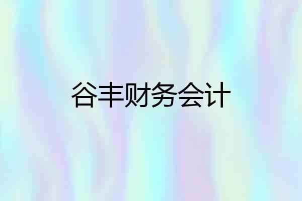 谷丰财务会计
