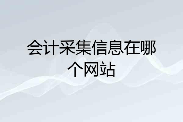 会计采集信息在哪个网站