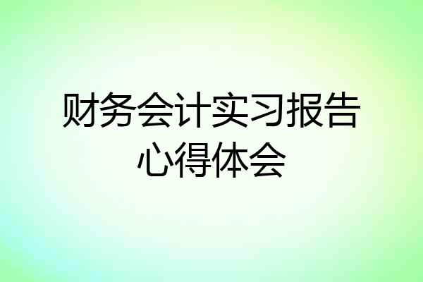 财务会计实习报告心得体会