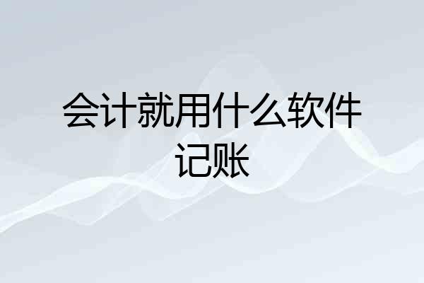 会计就用什么软件记账