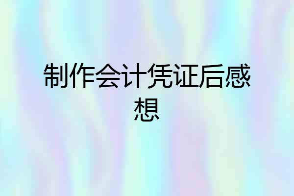 制作会计凭证后感想